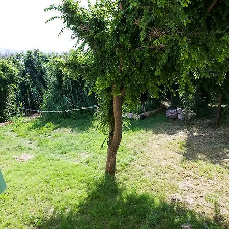 Apartman Toro Pag